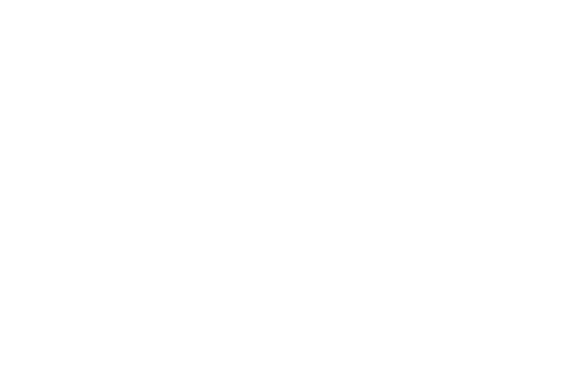 New Voice Telecom